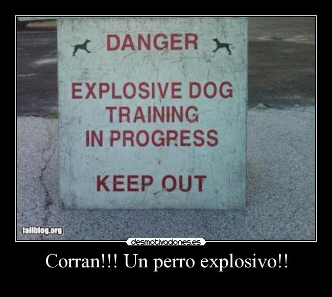 Corran!!! Un perro explosivo!! -