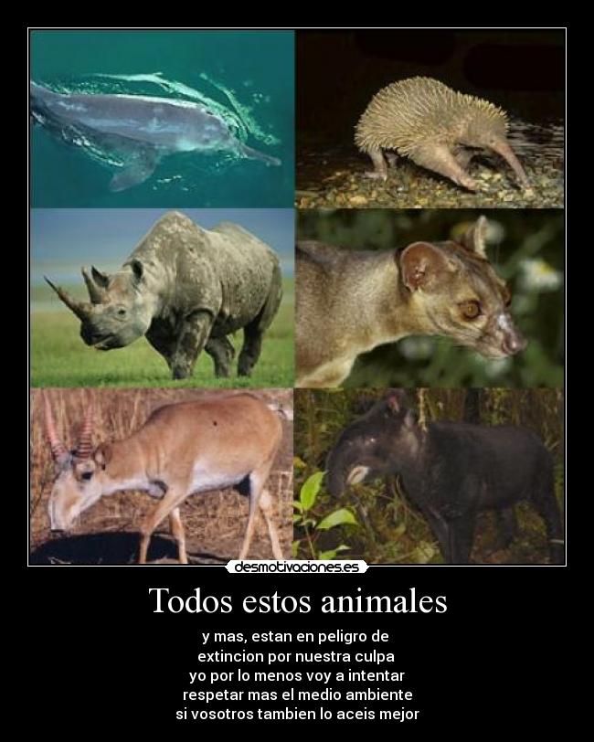 Todos estos animales - y mas, estan en peligro de 
extincion por nuestra culpa 
yo por lo menos voy a intentar
respetar mas el medio ambiente
si vosotros tambien lo aceis mejor