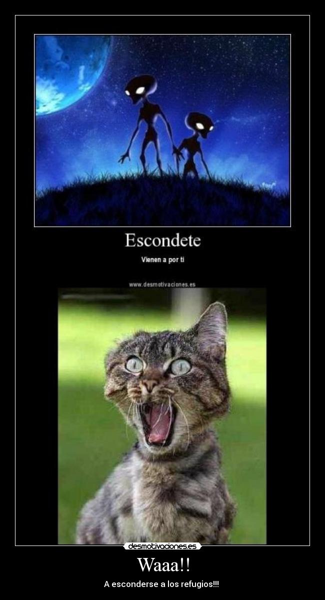 Waaa!! - A esconderse a los refugios!!!
