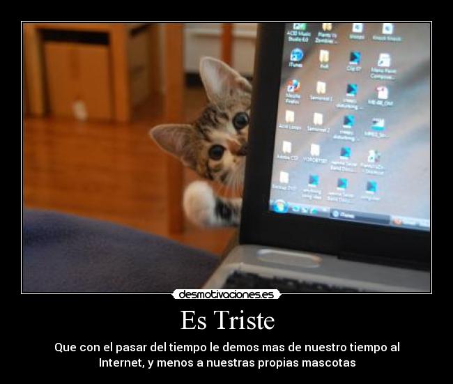 Es Triste - Que con el pasar del tiempo le demos mas de nuestro tiempo al
Internet, y menos a nuestras propias mascotas