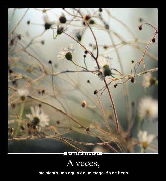 A veces, - me siento una aguja en un mogollón de heno