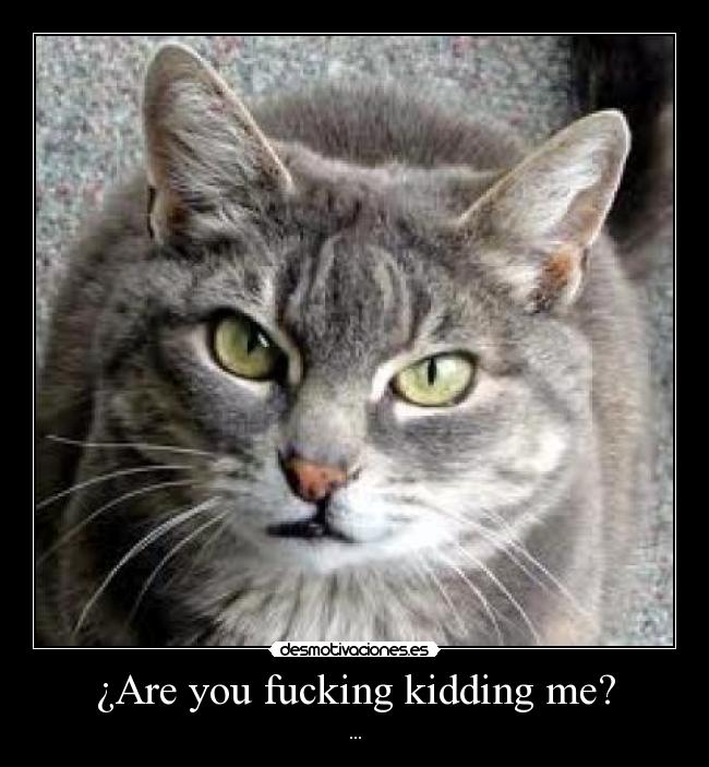 ¿Are you fucking kidding me? -