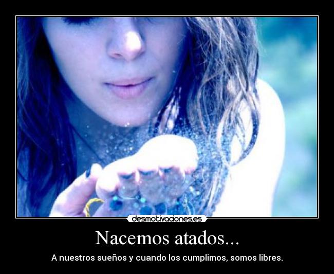 carteles nacemos atados desmotivaciones