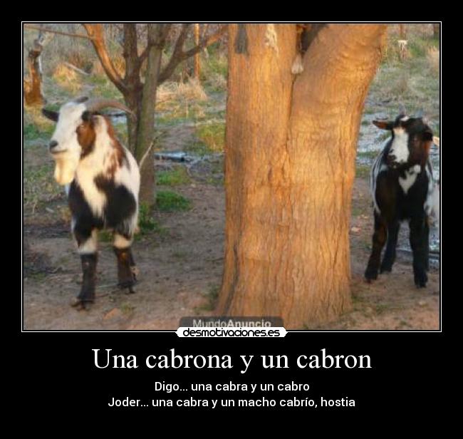 carteles desmotivaciones