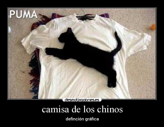 camisa de los chinos - 