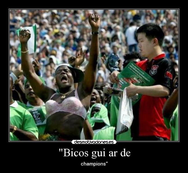 Bicos gui ar de - champions