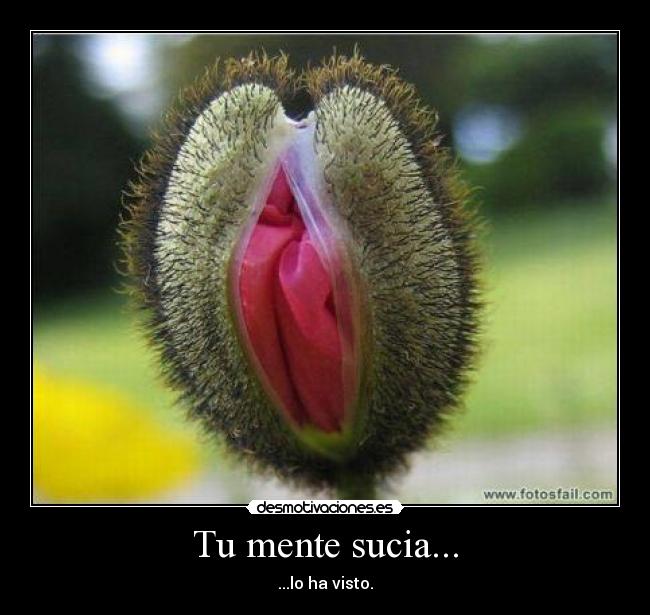 Tu mente sucia... -