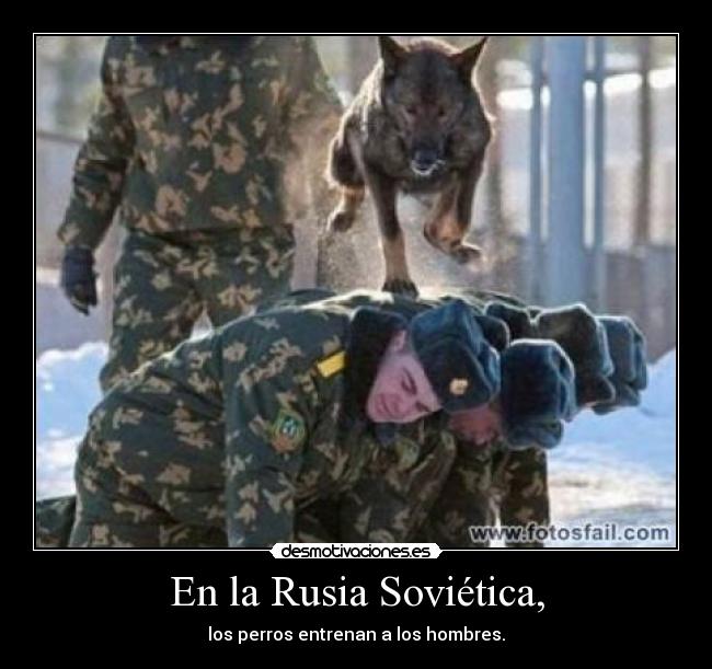 En la Rusia Soviética, - los perros entrenan a los hombres.