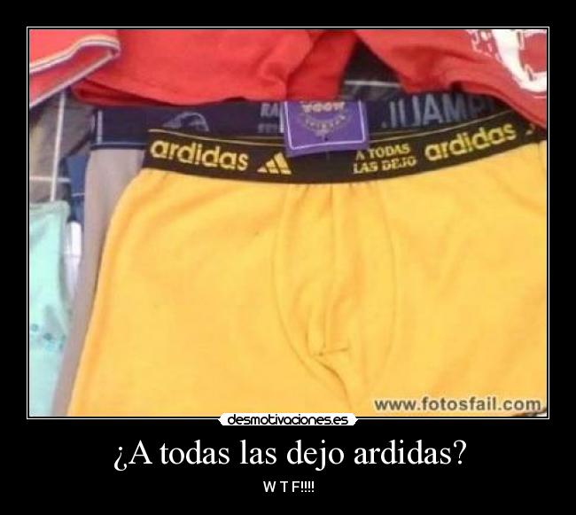 ¿A todas las dejo ardidas? -