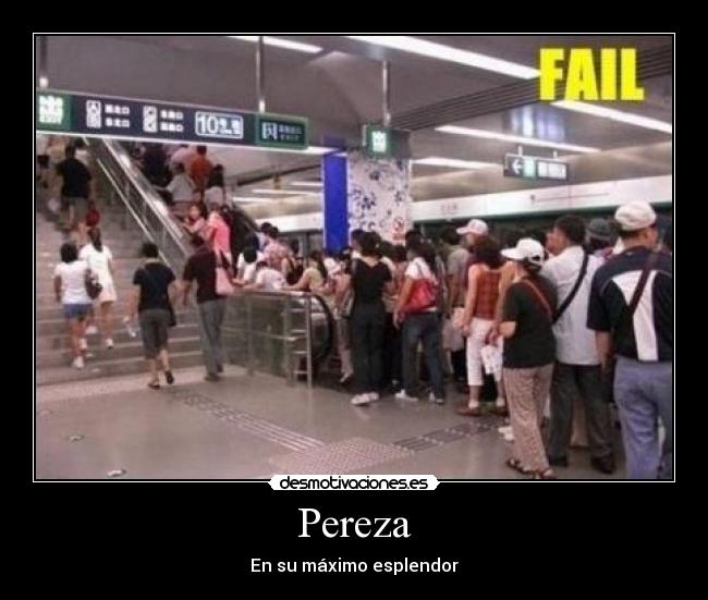 carteles pereza fail desmotivaciones