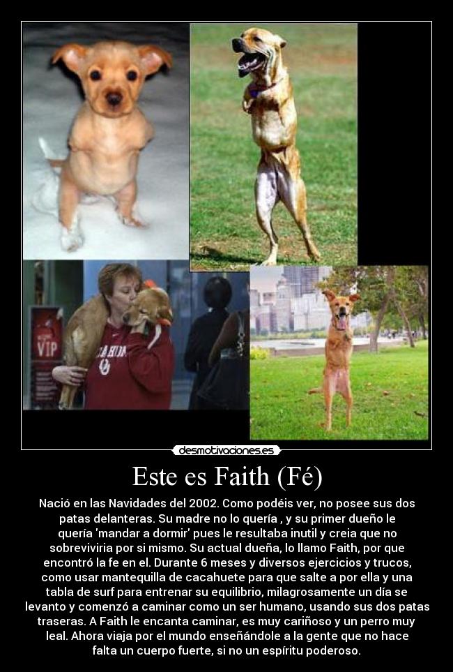Este es Faith (Fé) - 