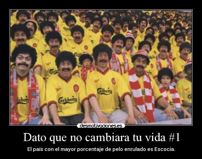 Dato que no cambiara tu vida #1 - El país con el mayor porcentaje de pelo enrulado es Escocia.