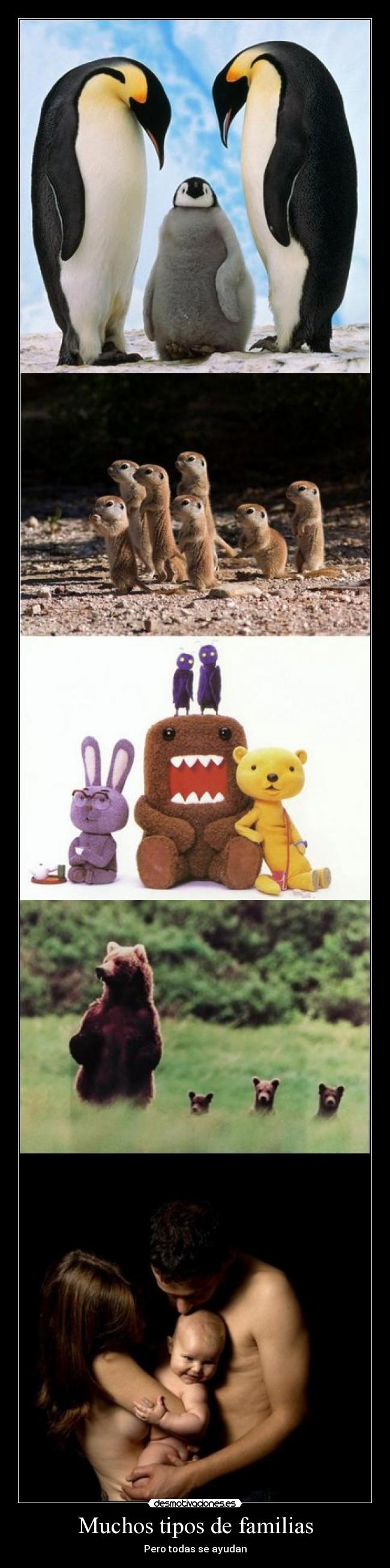 Muchos tipos de familias -