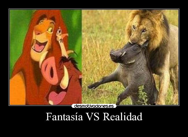 Fantasía VS Realidad -