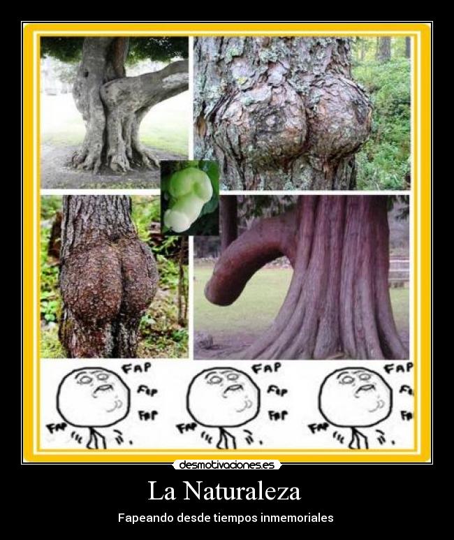 carteles naturaleza fap naturaleza puteria desmotivaciones