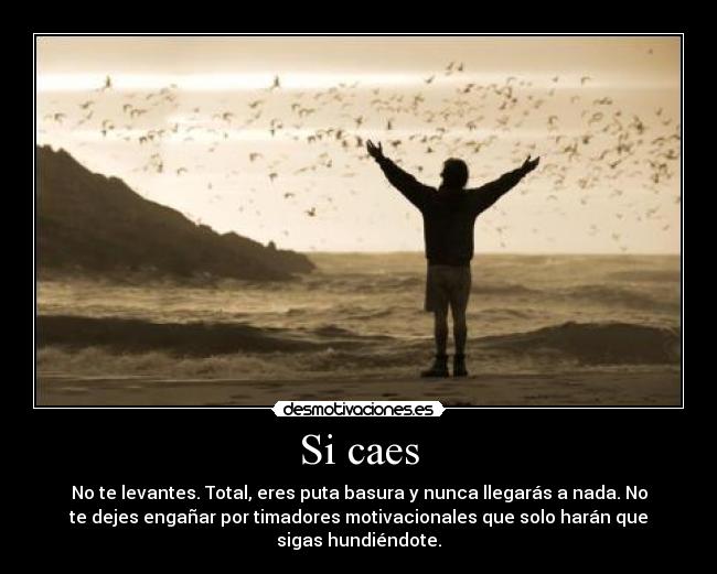 Si caes - 