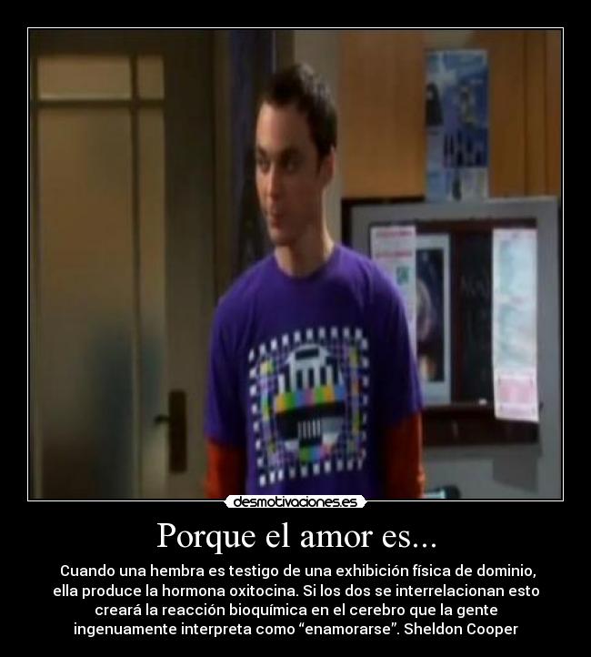 Porque el amor es... - Cuando una hembra es testigo de una exhibición física de dominio,
ella produce la hormona oxitocina. Si los dos se interrelacionan esto
creará la reacción bioquímica en el cerebro que la gente
ingenuamente interpreta como “enamorarse”. Sheldon Cooper