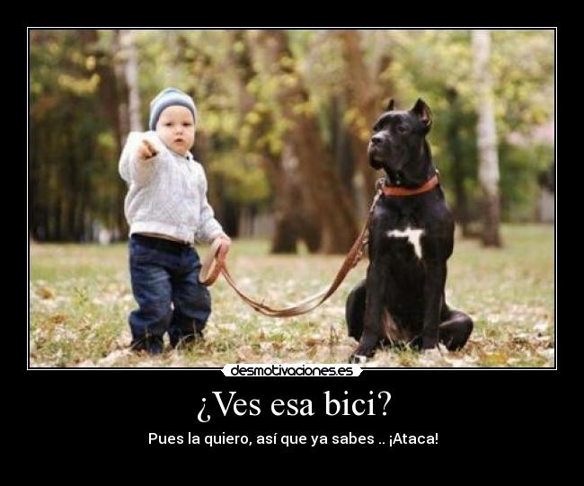 ¿Ves esa bici? -