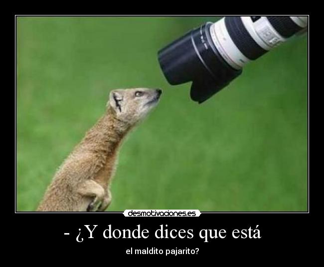 carteles  desmotivaciones