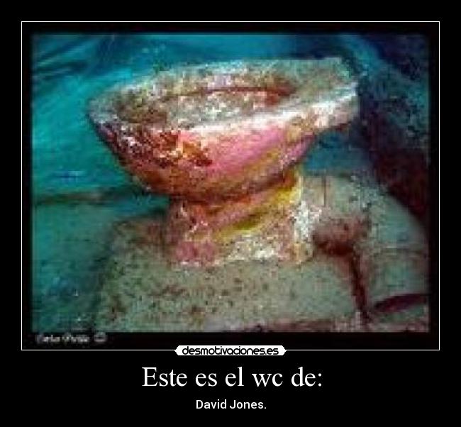 Este es el wc de: - David Jones.