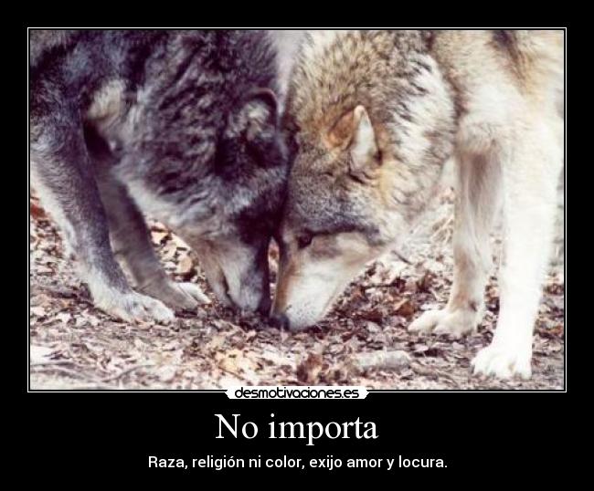 No importa -