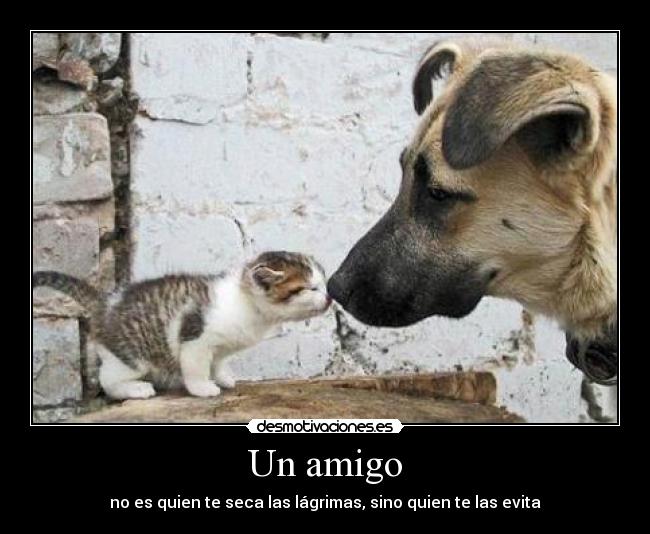 Un amigo - no es quien te seca las lágrimas, sino quien te las evita