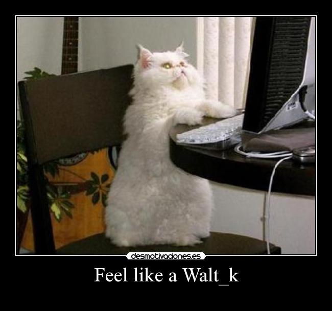 Feel like a Walt_k - 