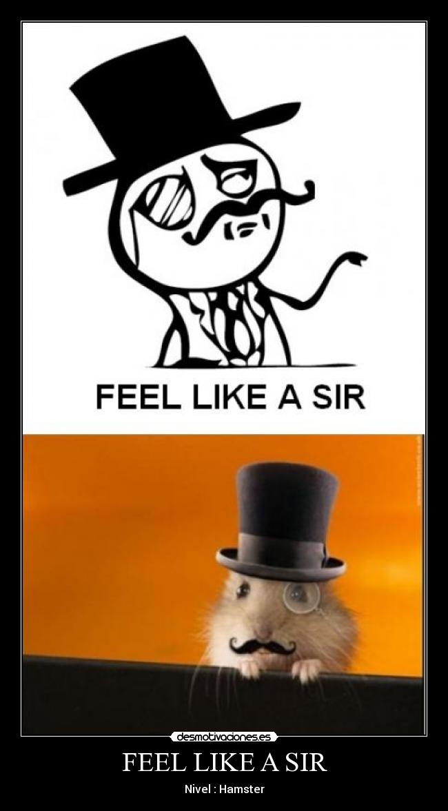 carteles feel like sir hamster desmotivaciones