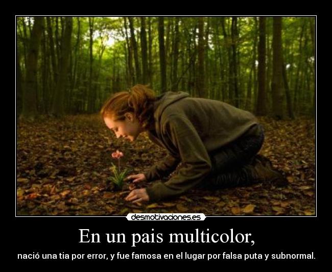 En un pais multicolor, - nació una tia por error, y fue famosa en el lugar por falsa puta y subnormal.