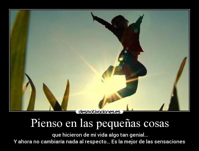 Pienso en las pequeñas cosas - que hicieron de mi vida algo tan genial...
Y ahora no cambiaría nada al respecto... Es la mejor de las sensaciones