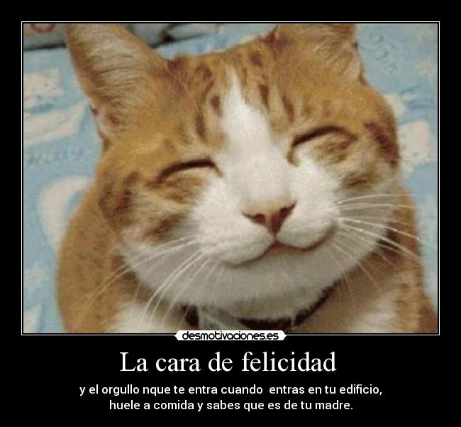 La cara de felicidad  - y el orgullo nque te entra cuando  entras en tu edificio,
huele a comida y sabes que es de tu madre.