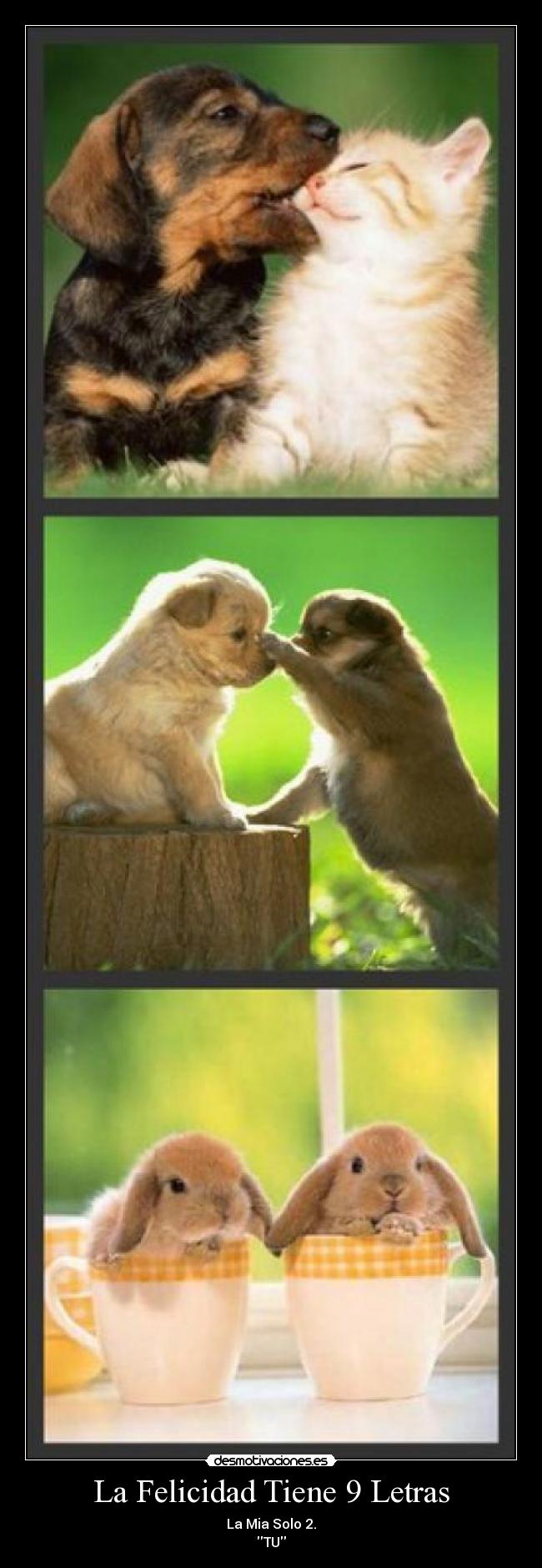 La Felicidad Tiene 9 Letras - La Mia Solo 2.
TU