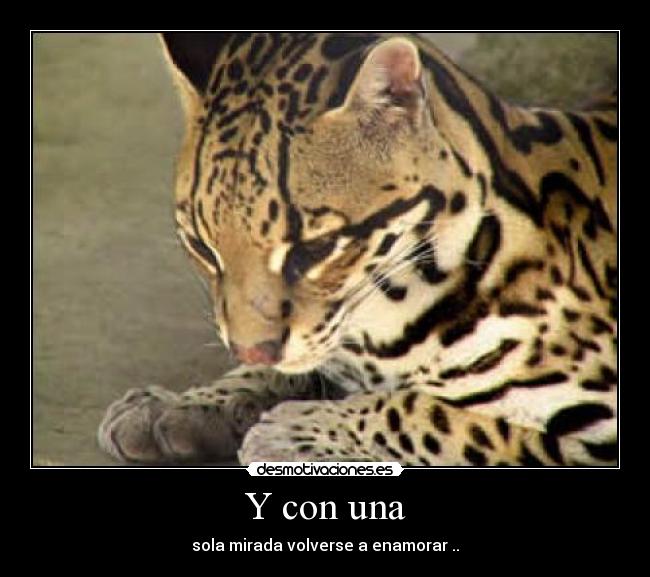 Y con una - sola mirada volverse a enamorar ..