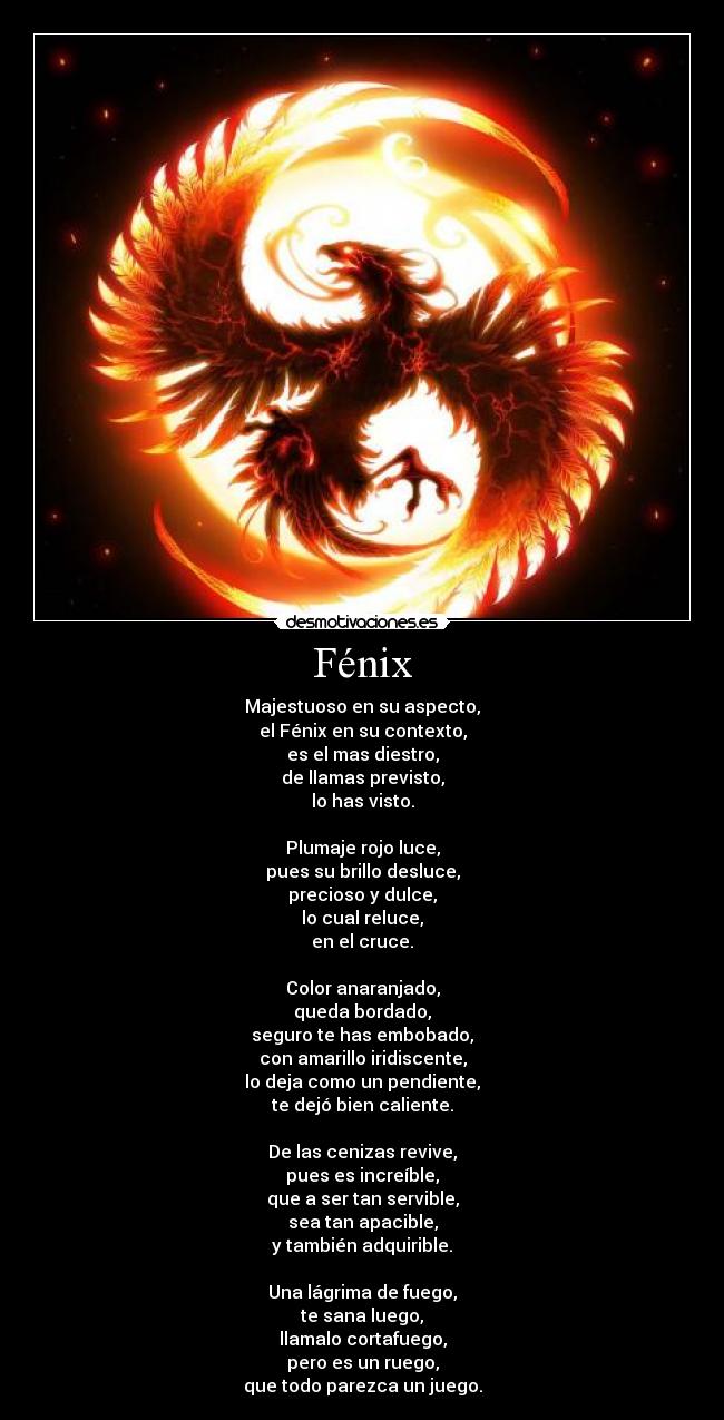 Fénix - Majestuoso en su aspecto,
el Fénix en su contexto,
es el mas diestro,
de llamas previsto,
lo has visto.

Plumaje rojo luce,
pues su brillo desluce,
precioso y dulce,
lo cual reluce,
en el cruce.

Color anaranjado,
queda bordado,
seguro te has embobado,
con amarillo iridiscente,
lo deja como un pendiente,
te dejó bien caliente.

De las cenizas revive,
pues es increíble,
que a ser tan servible,
sea tan apacible,
y también adquirible.

Una lágrima de fuego,
te sana luego,
llamalo cortafuego,
pero es un ruego,
que todo parezca un juego.