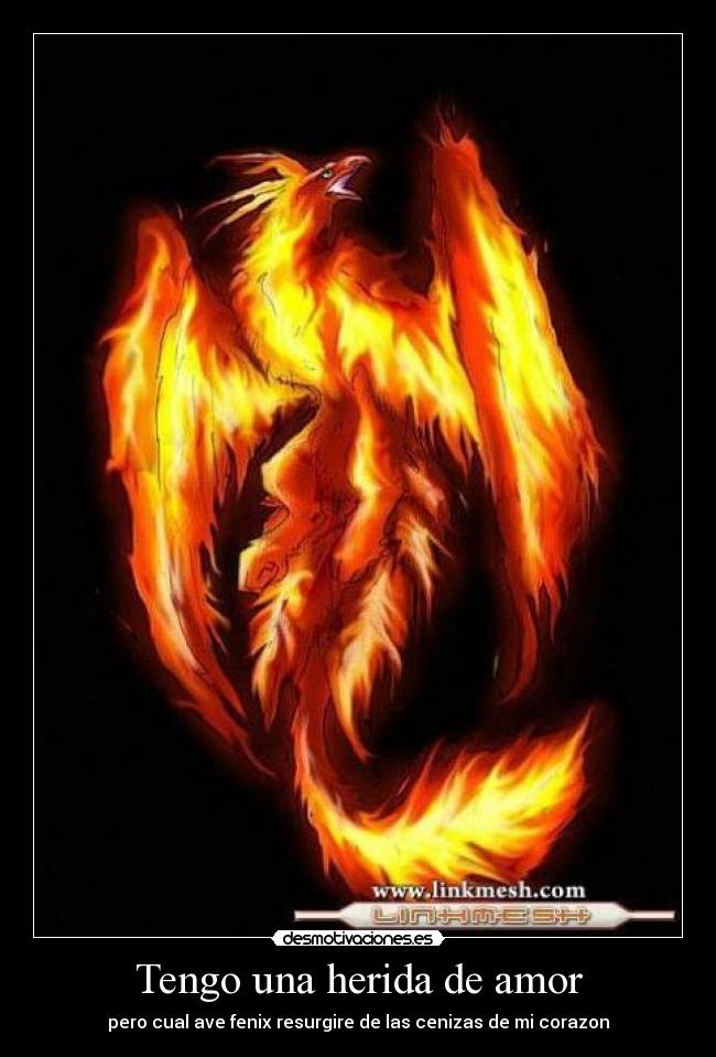 Tengo una herida de amor - pero cual ave fenix resurgire de las cenizas de mi corazon