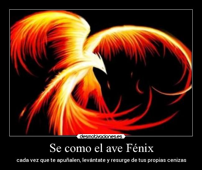 Se como el ave Fénix - 