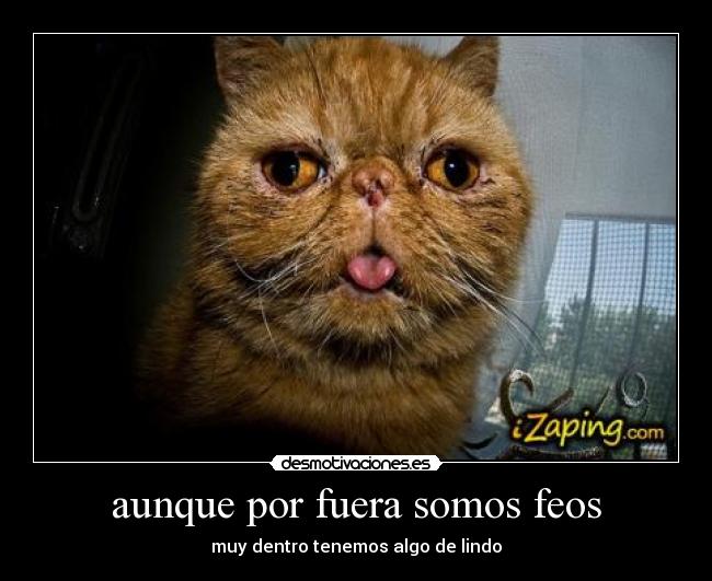 aunque por fuera somos feos - muy dentro tenemos algo de lindo