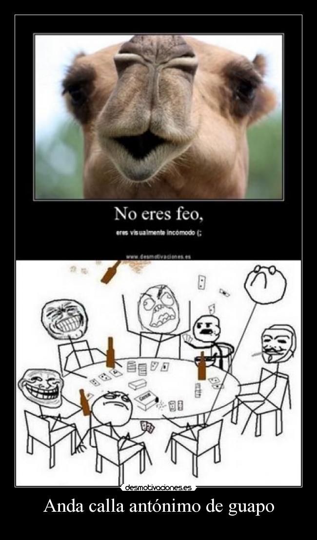 Anda calla antónimo de guapo -