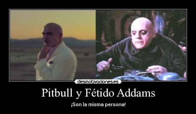 Pitbull y Fétido Addams - 