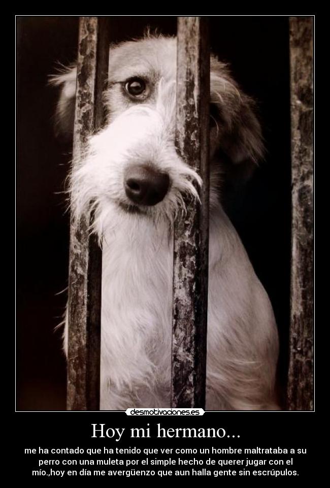 Hoy mi hermano... -