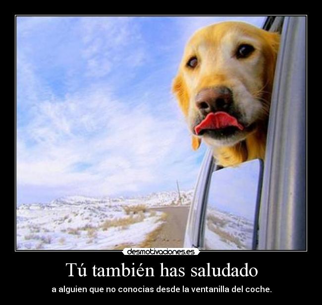 Tú también has saludado - 