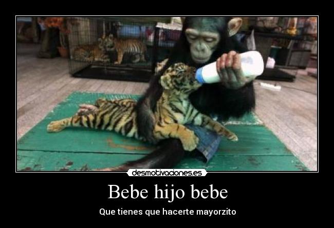 Bebe hijo bebe -
