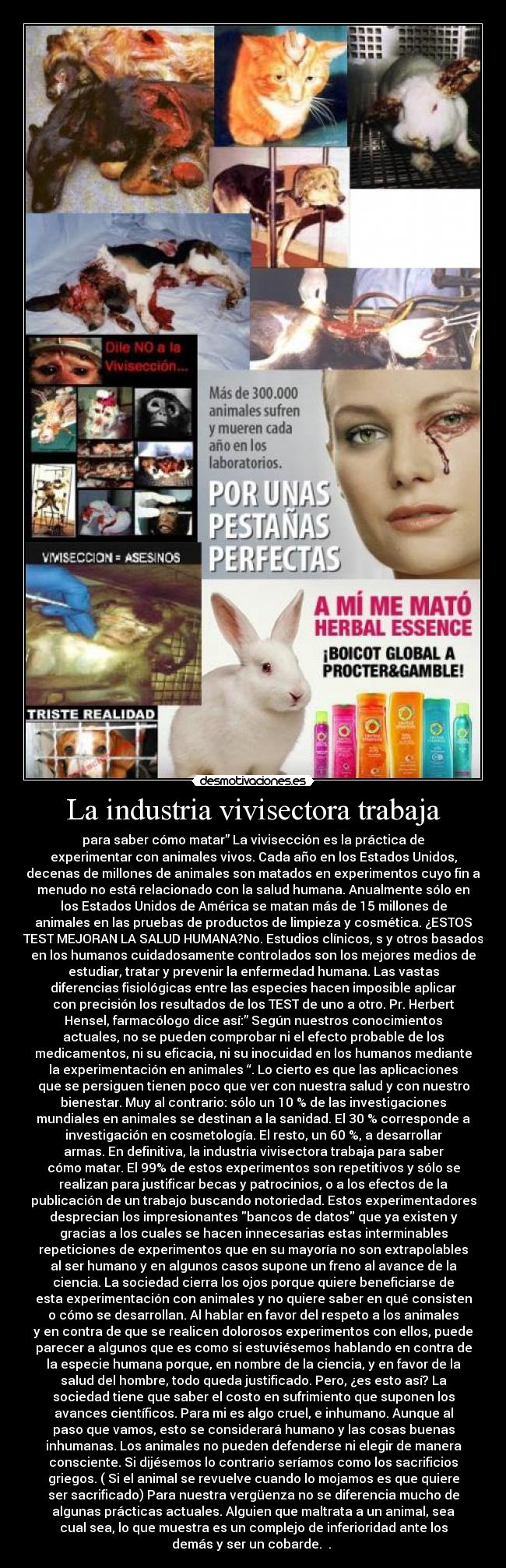 La industria vivisectora trabaja -