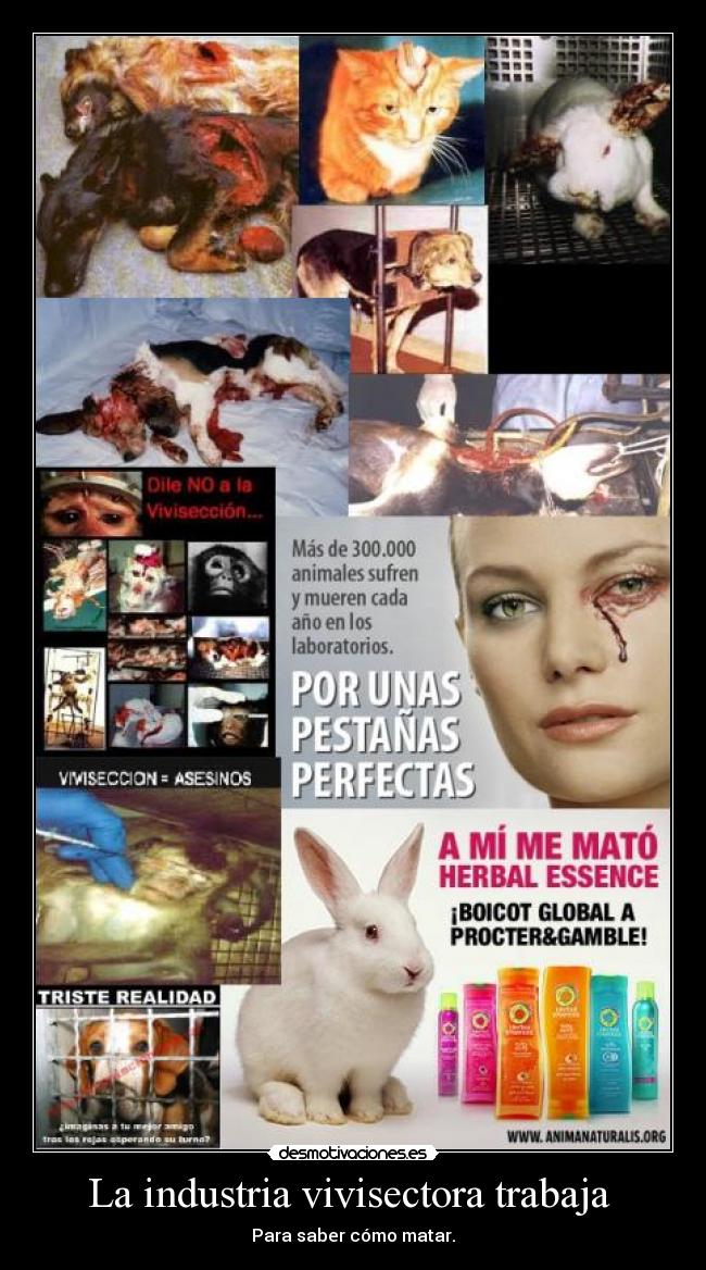 La industria vivisectora trabaja -