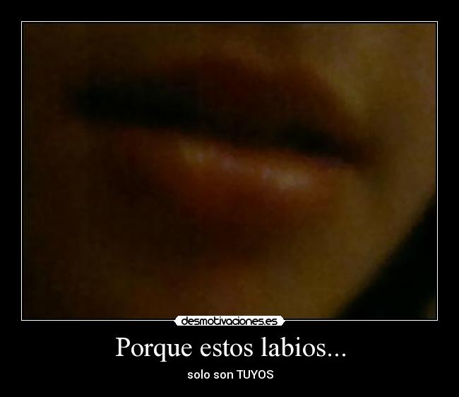 carteles saann desmotivaciones