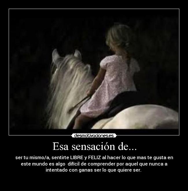 carteles libre feliz desmotivaciones