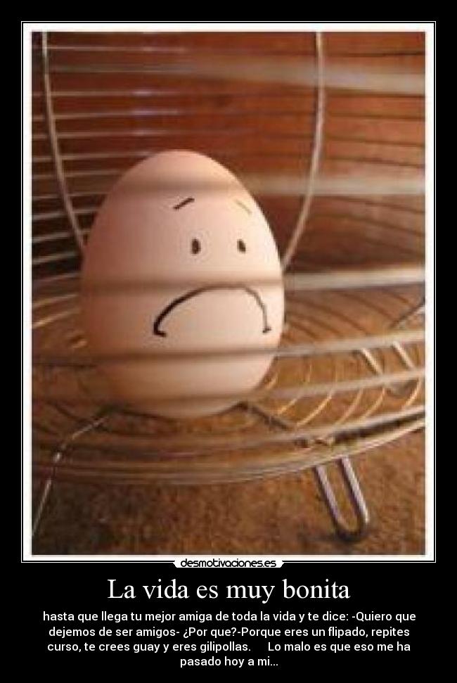 La vida es muy bonita - 