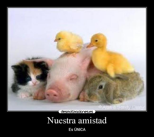 Nuestra amistad - Es ÚNICA