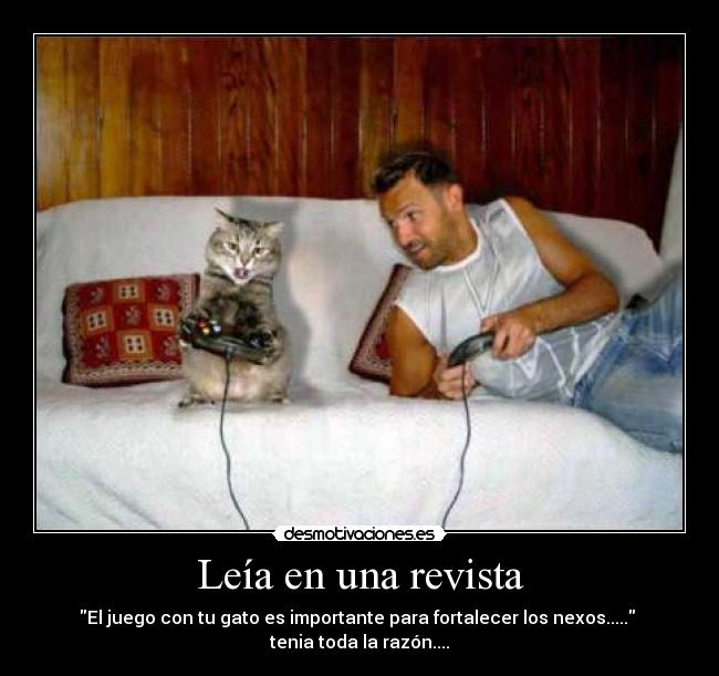 carteles ngjhkl desmotivaciones