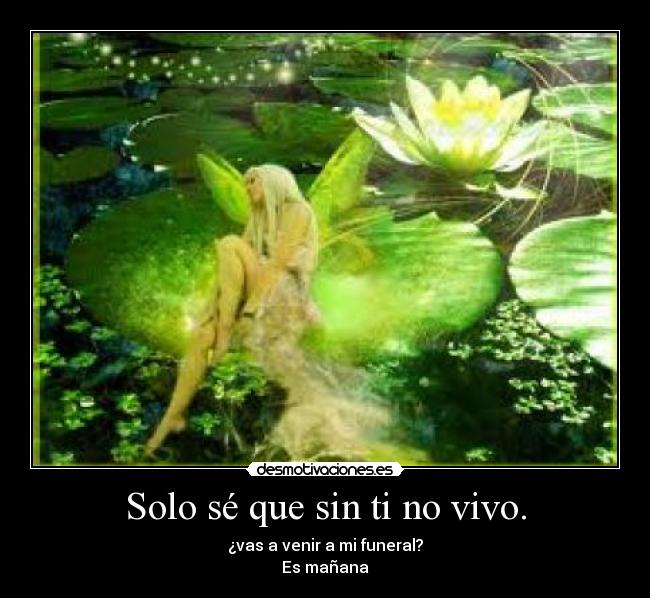 Solo sé que sin ti no vivo. - 
